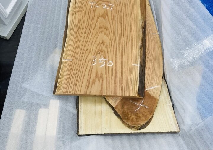 20220122 zeperito wonder land 003