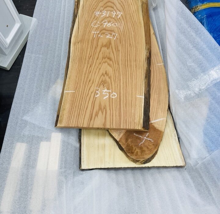 20220122 zeperito wonder land 003