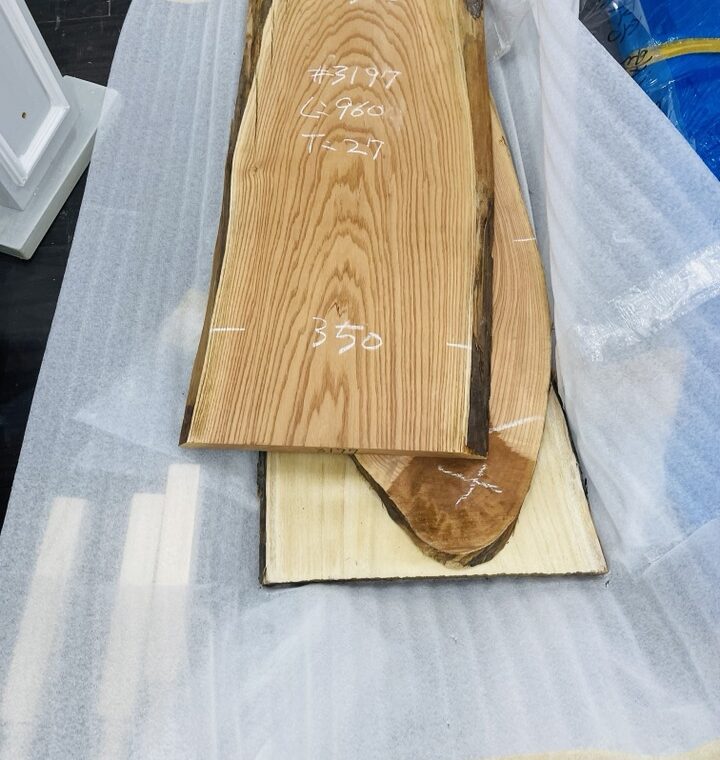 20220122 zeperito wonder land 003