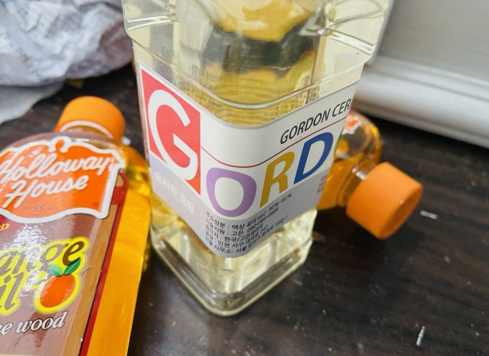 2022 02 02 zeperito wonderland 001