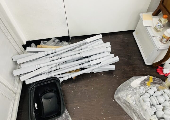 2022 02 10 zeperito wonderland 001