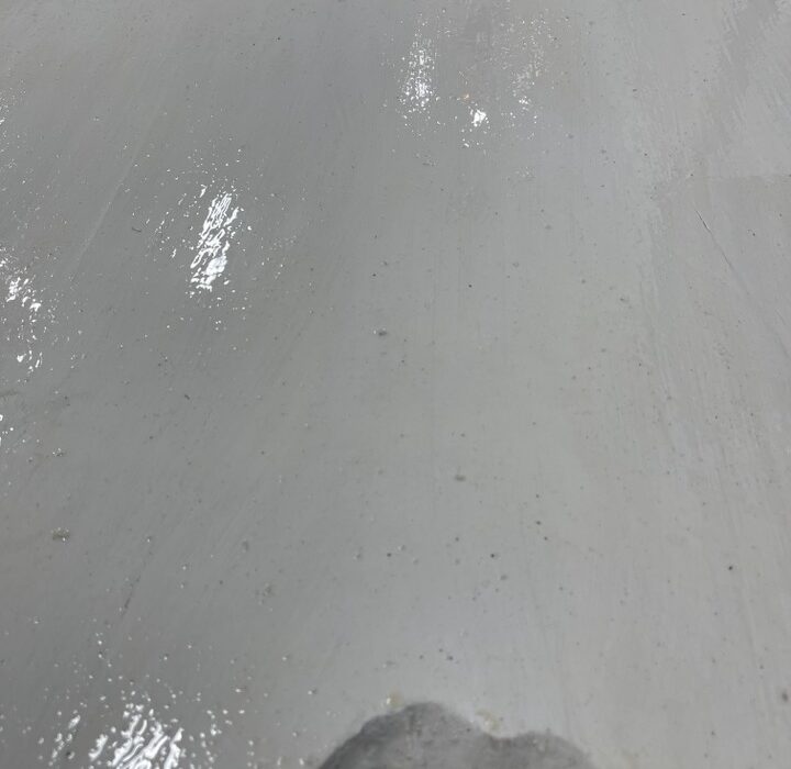 2022 02 14 zeperito wonderland 001