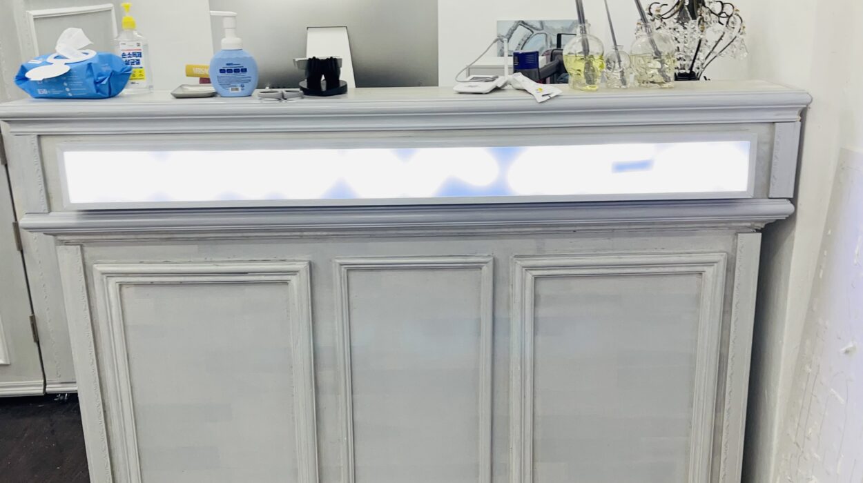 2022 03 04 zeperito wonderland