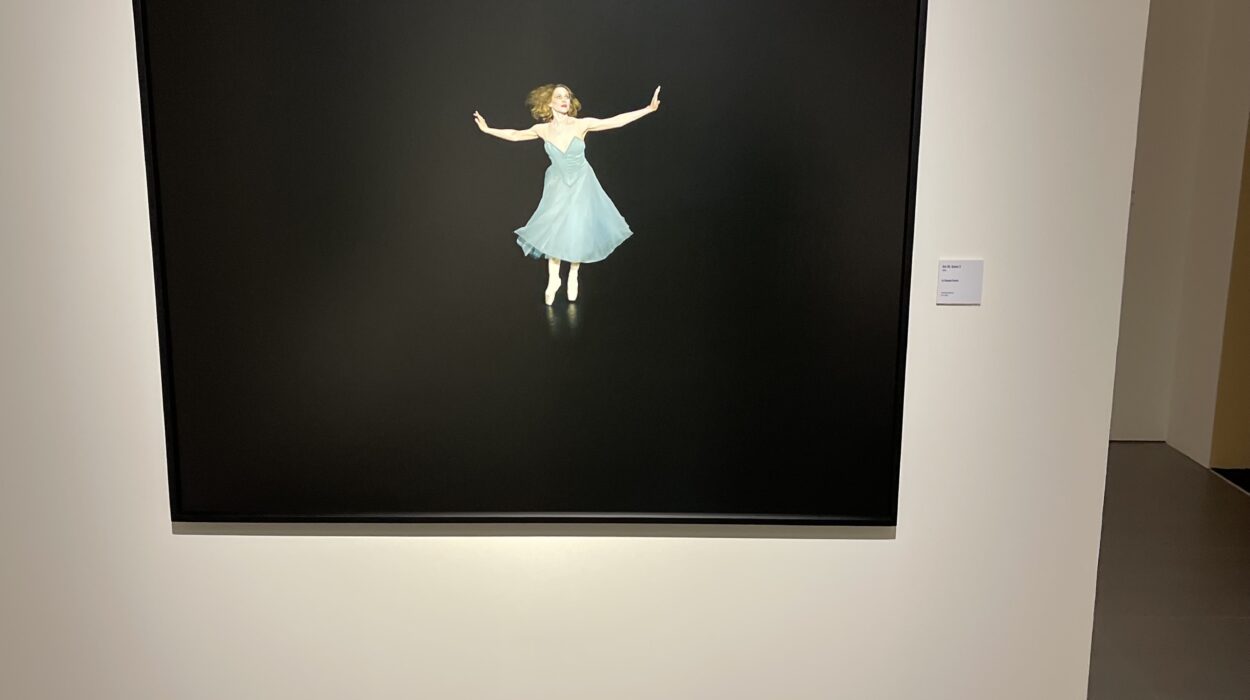 2023 03 05 zeperito wonderland