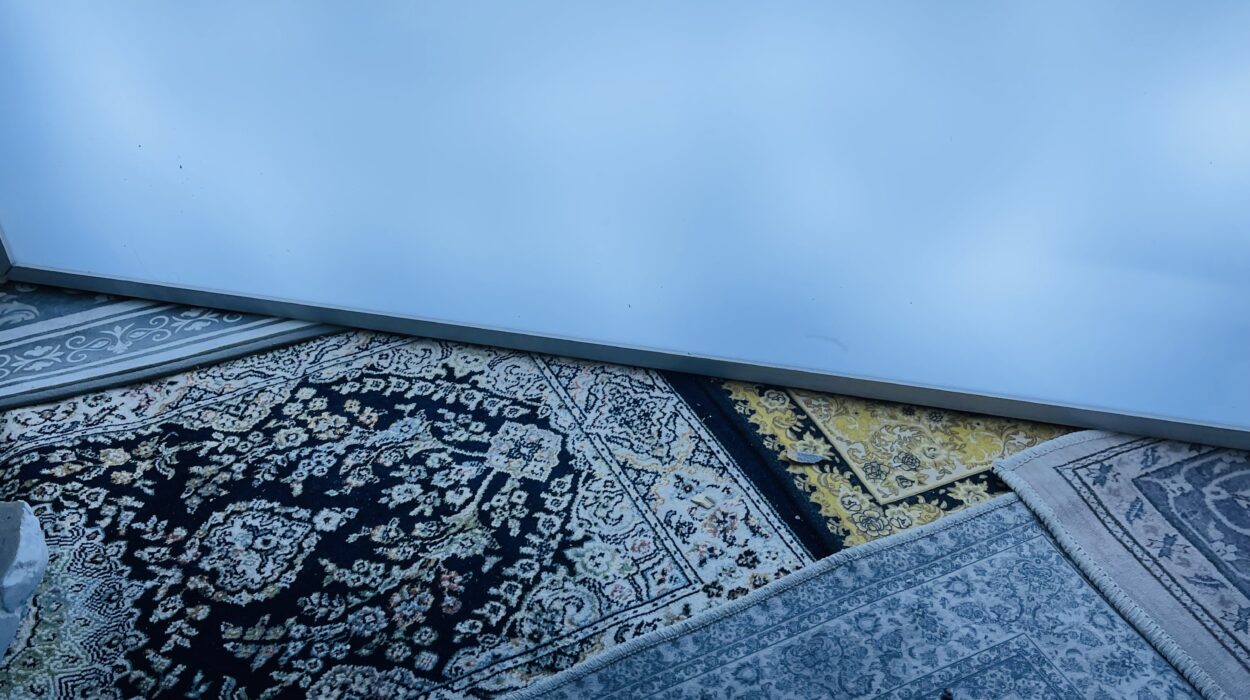 2023 03 06 zeperito wonderland 001