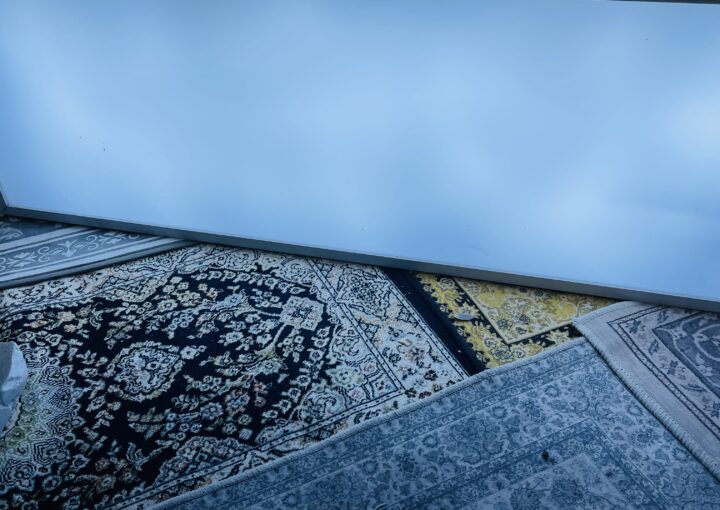 2023 03 06 zeperito wonderland 001