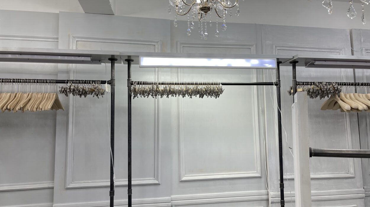 2023 03 08 zeperito wonderland