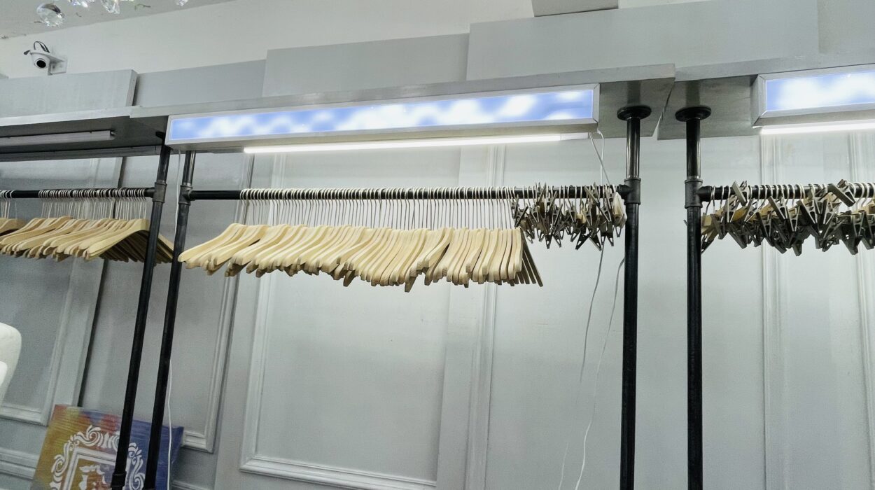 2023 03 10 zeperito wonderland