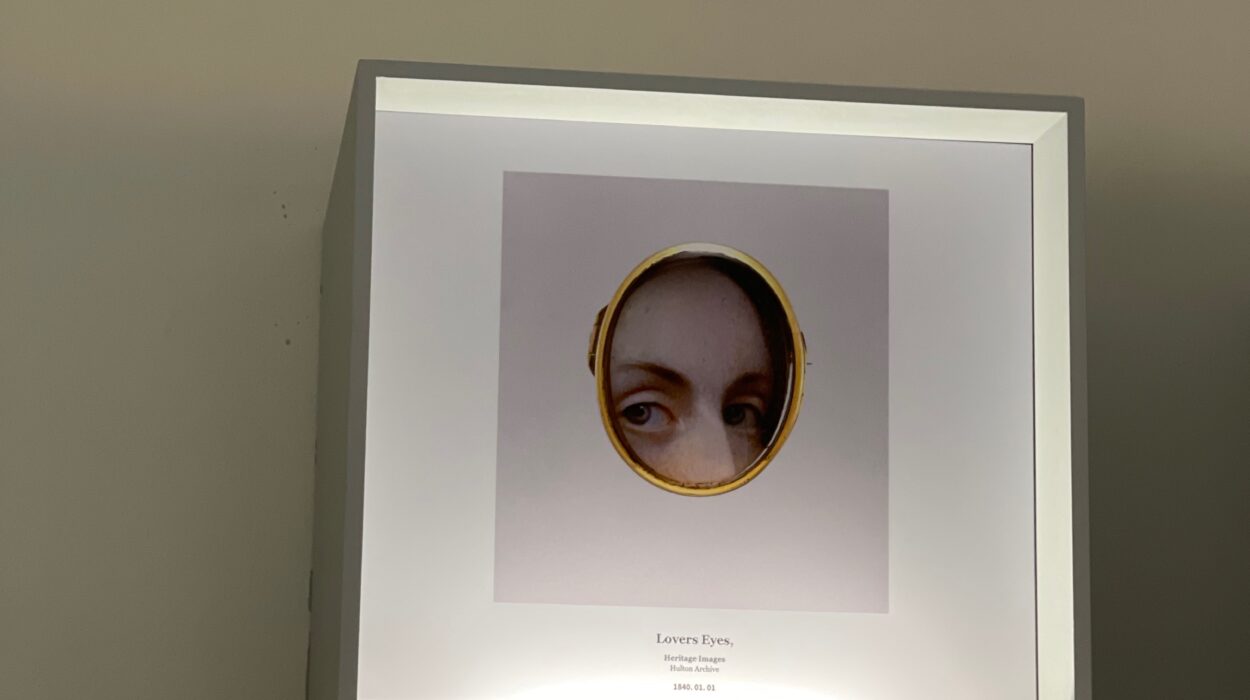 2023 03 12 zeperito wonderlandI 005