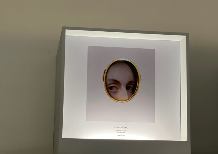 2023 03 12 zeperito wonderlandI 005