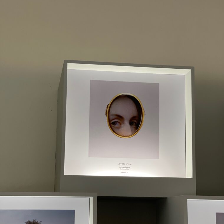 2023 03 12 zeperito wonderlandI 005