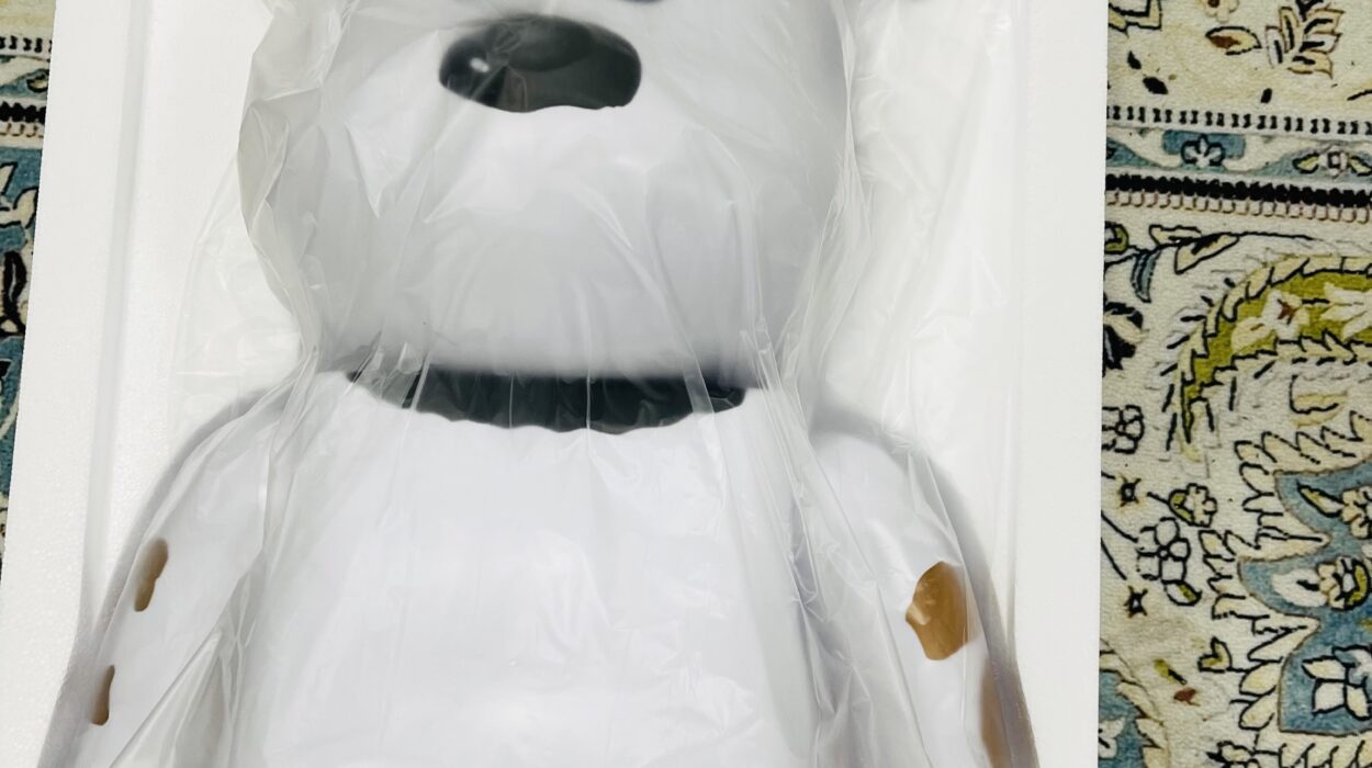 2023 03 14 zeperito wonderlandI 001