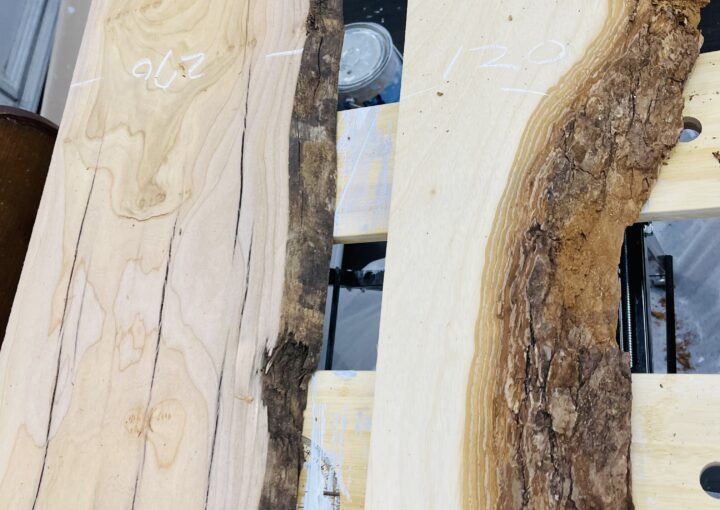 2023 03 15 zeperito wonderlandI 001