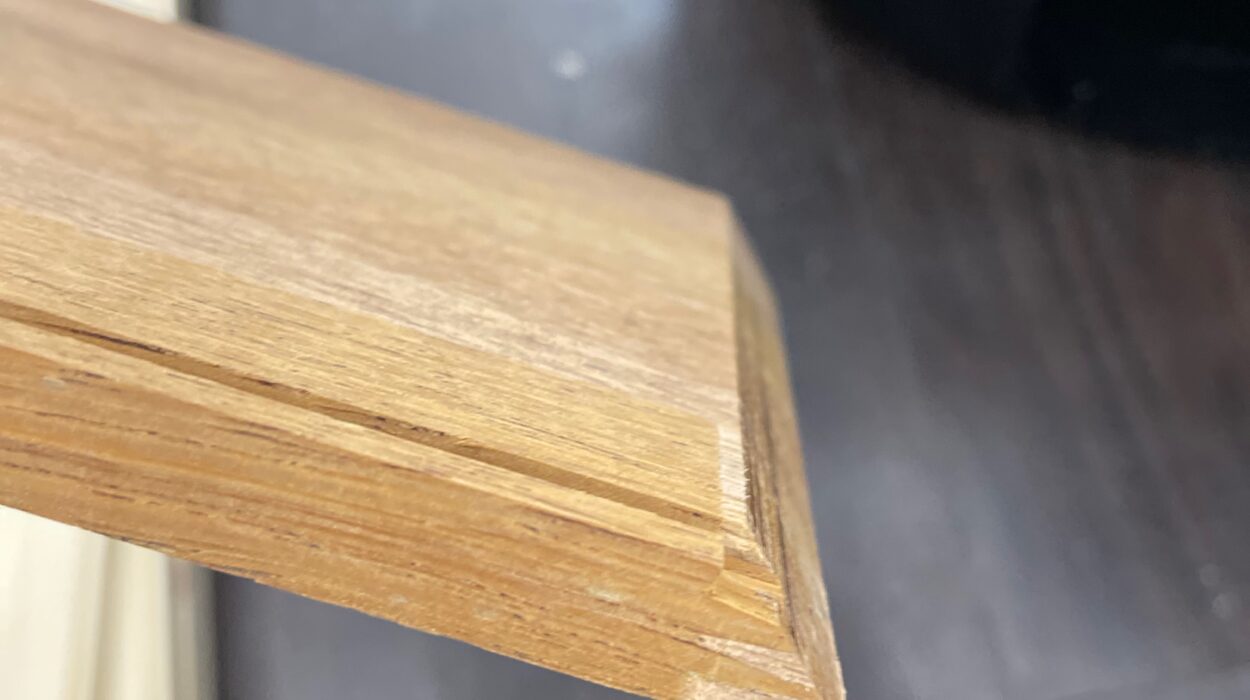 2023 03 17 zeperito wonderlandI 001