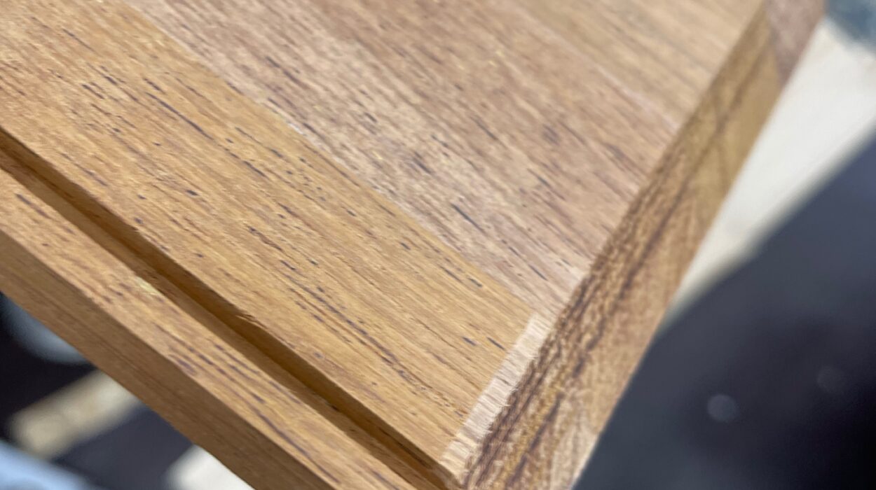 2023 03 18 zeperito wonderlandI 002