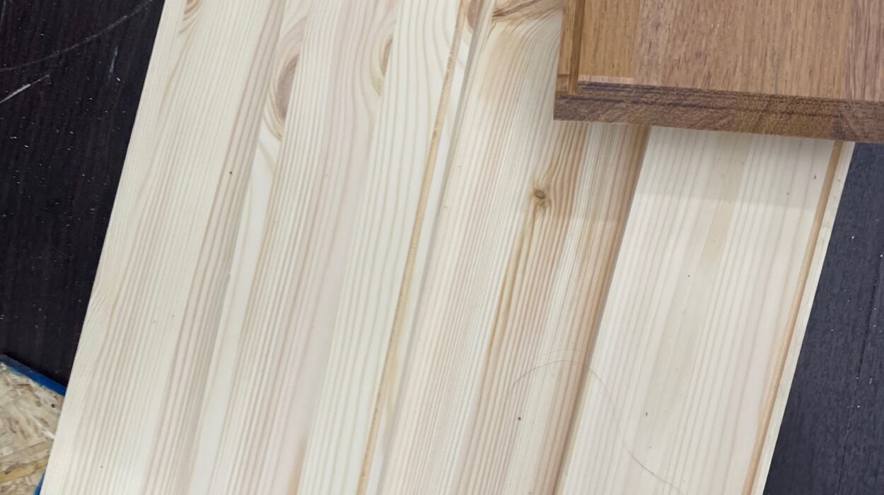 2023 03 20 zeperito wonderlandI 001