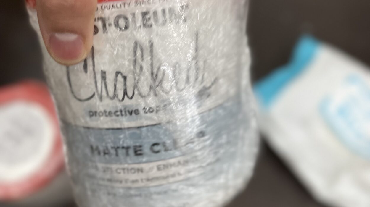 2023 03 21 zeperito wonderlandI 001