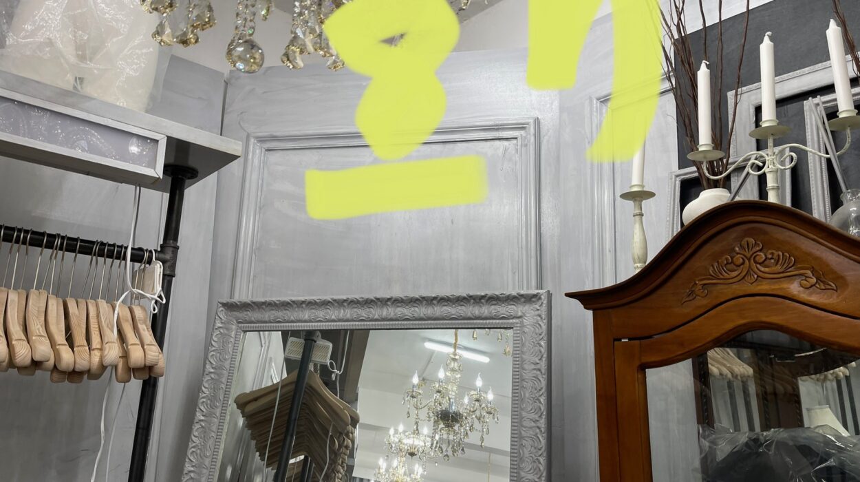 2023 03 22 zeperito wonderlandI 002