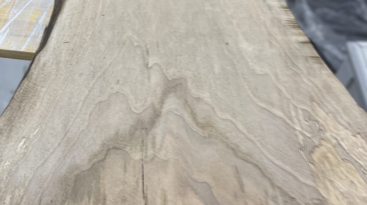 2023 03 24 zeperito wonderlandI 001