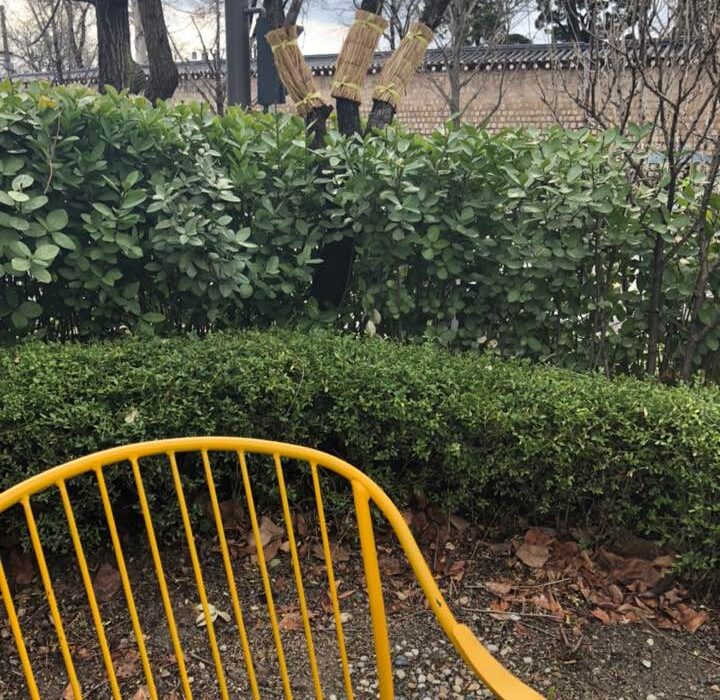 2022 03 27 zeperito wonderland 001