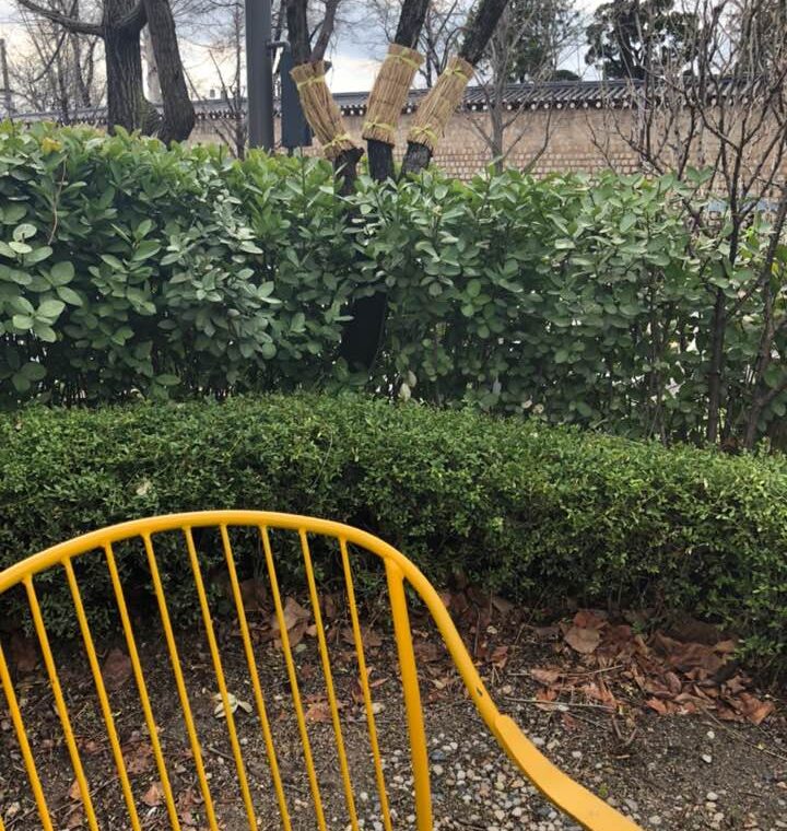 2022 03 27 zeperito wonderland 001