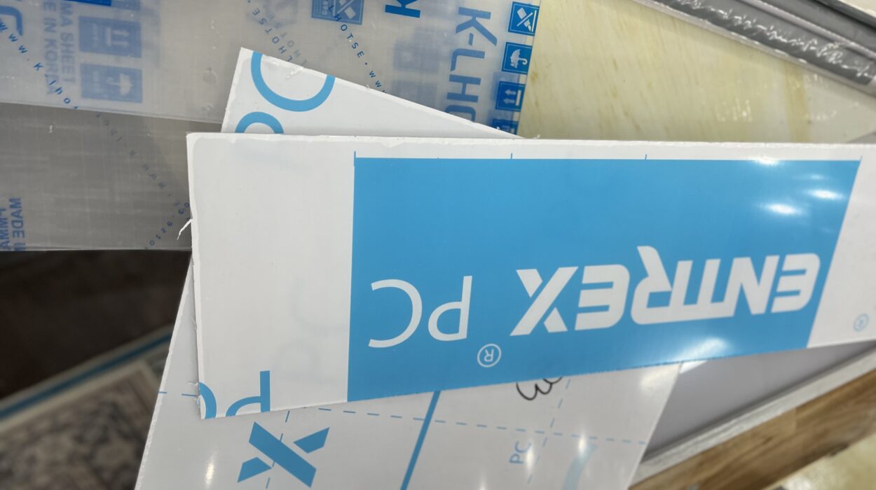 2023 04 09 zeperito wonderland