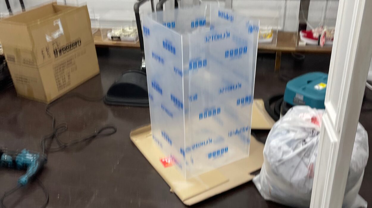 2022 04 10 zeperito wonderland