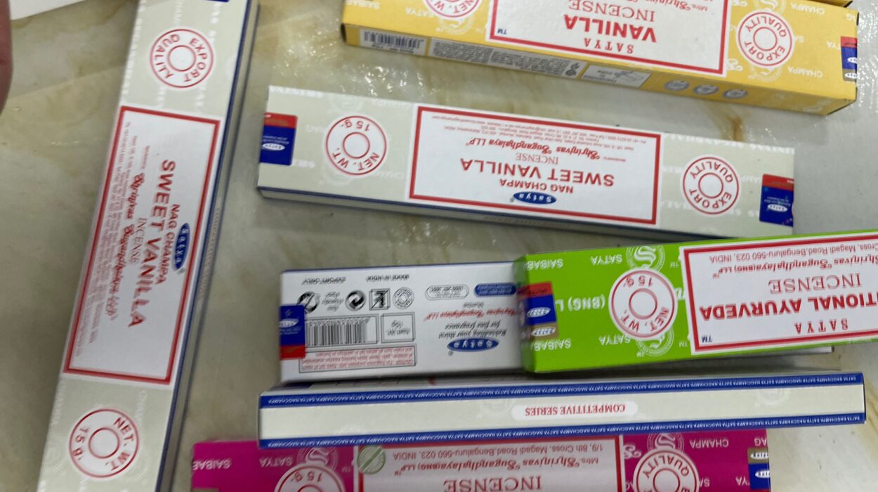 2023 04 11 zeperito wonderland002