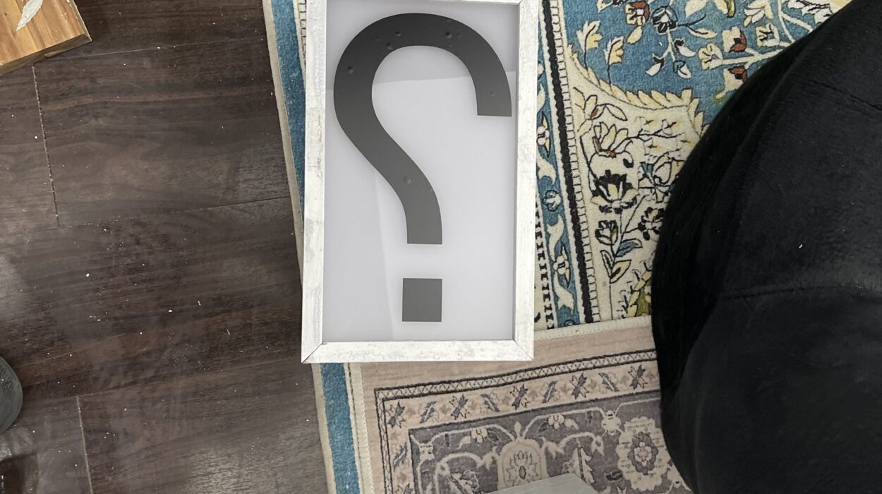 2023 04 20 zeperito wonderland 001