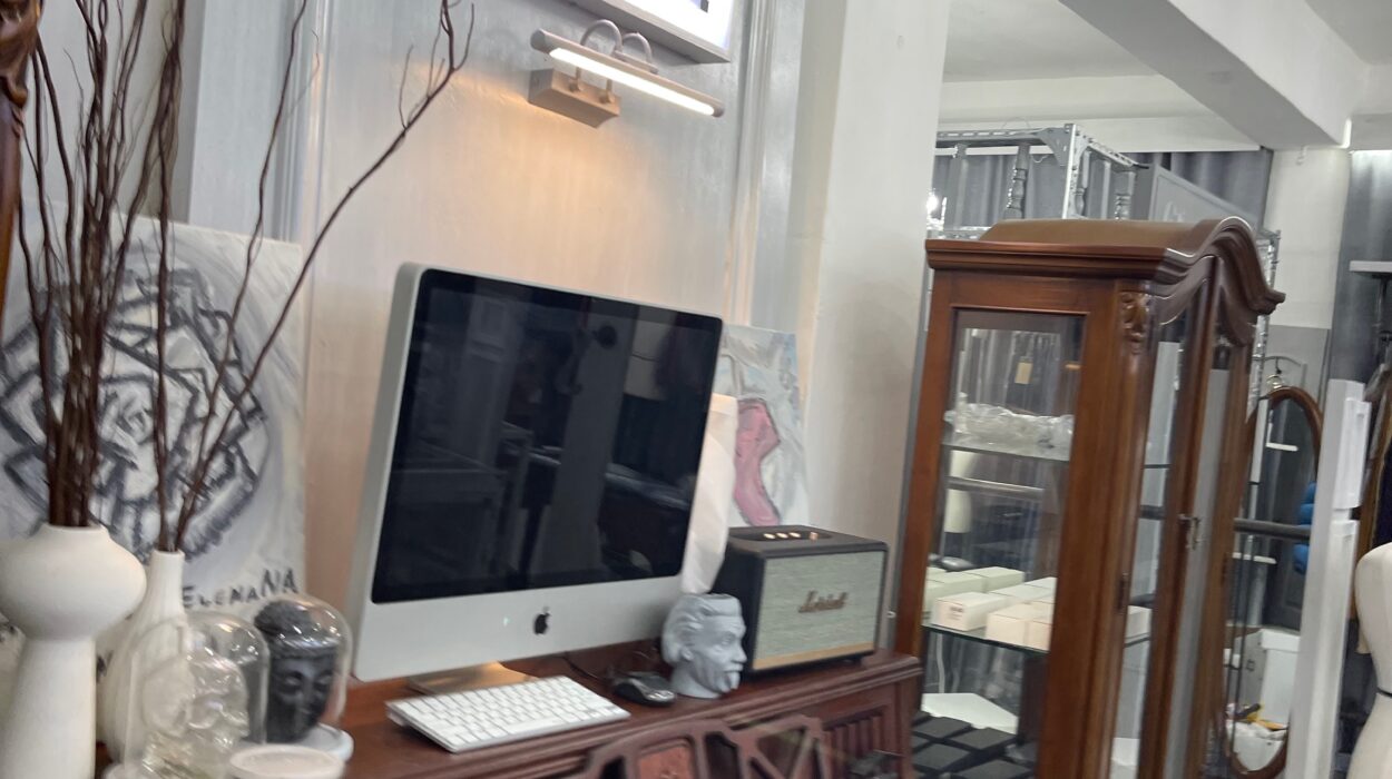 2023 04 26 zeperito wonderland