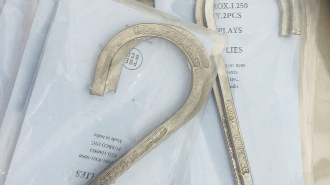 2022 05 01 zeperito wonderland