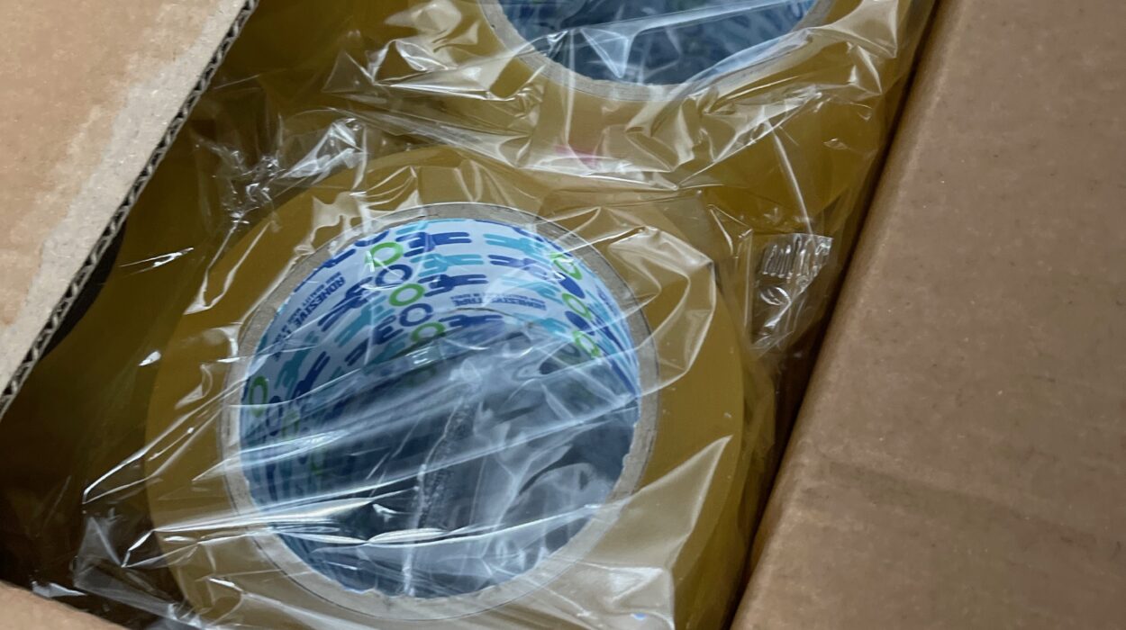 2022 05 15 zeperito wonderland