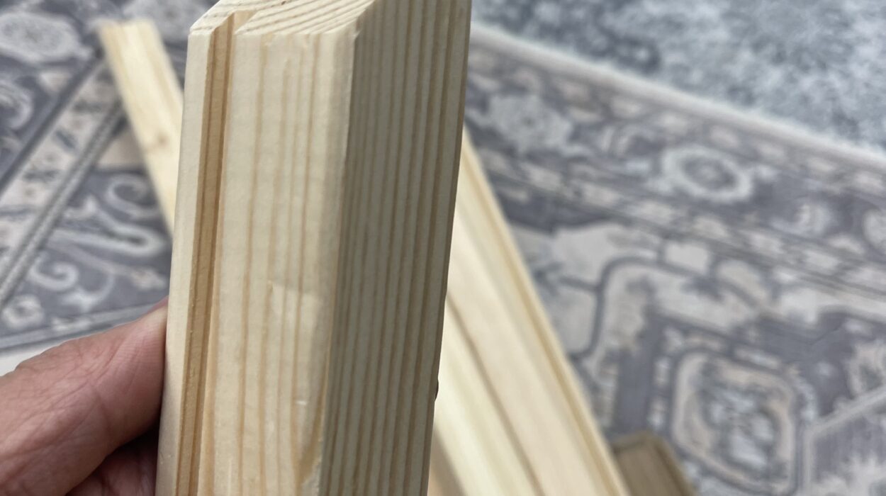 2022 05 20 zeperito wonderland 001