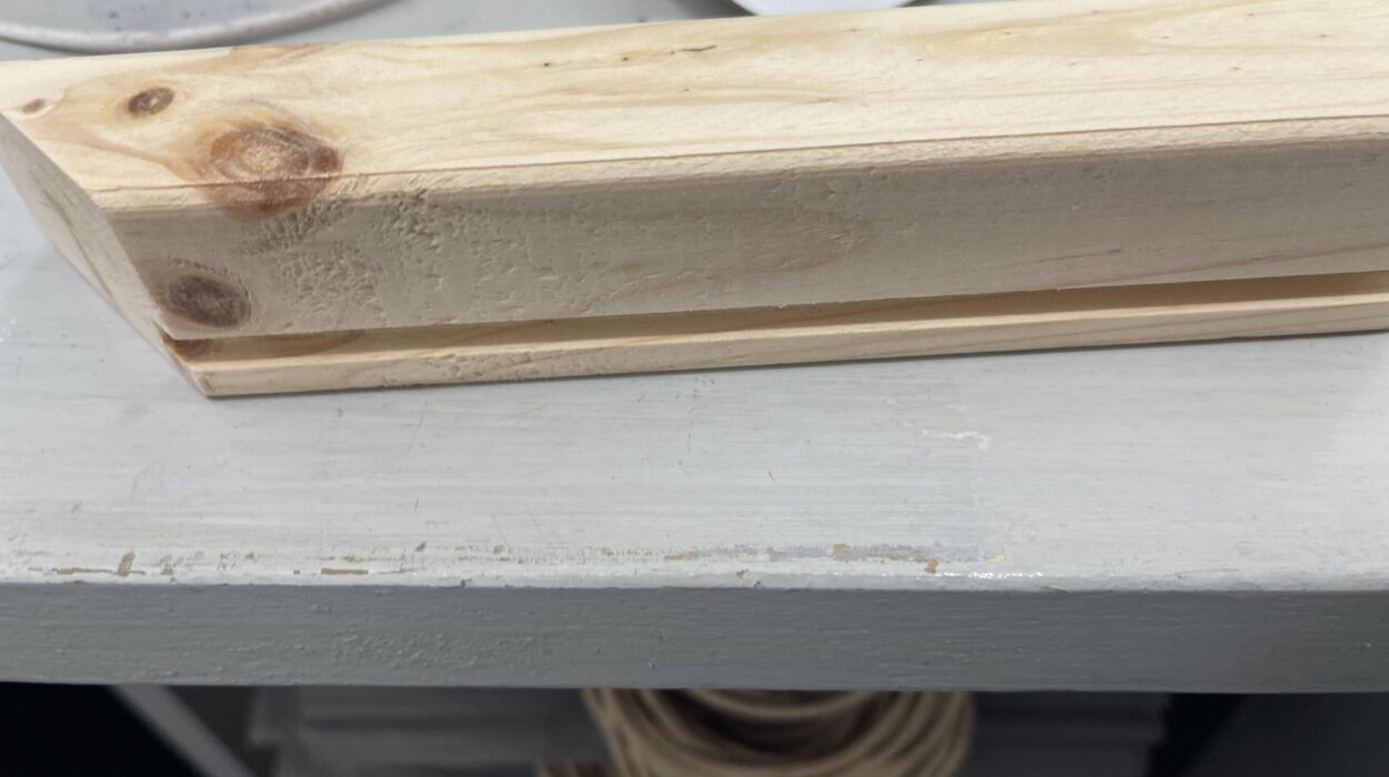 2022 05 21 zeperito wonderland