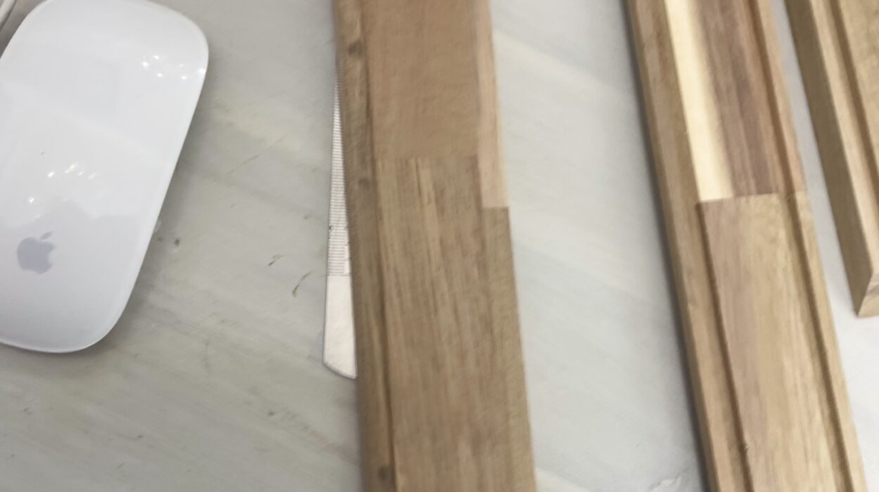 2022 05 22 zeperito wonderland