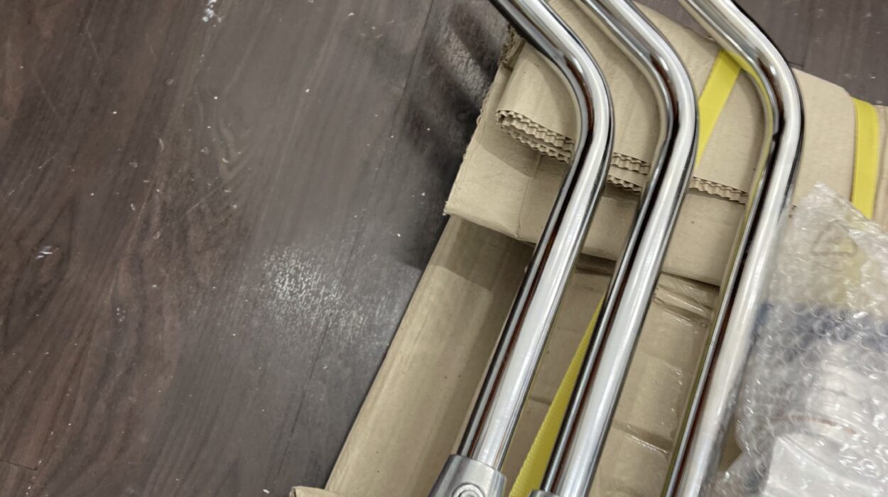 2022 05 23 zeperito wonderland