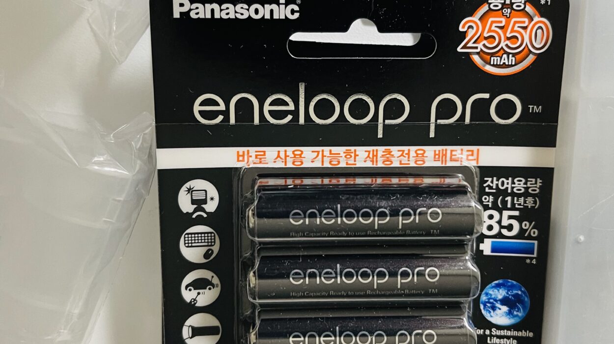 2022 05 26 zeperito wonderland