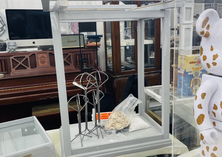 2022 05 27 zeperito wonderland