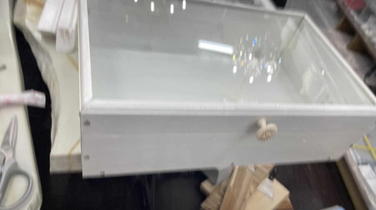 2022 05 28 zeperito wonderland 002