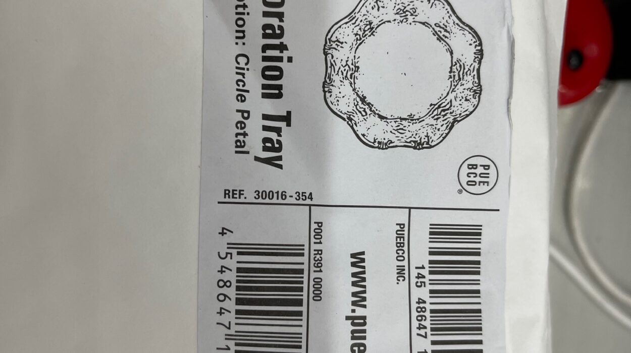 2022 05 29 zeperito wonderland