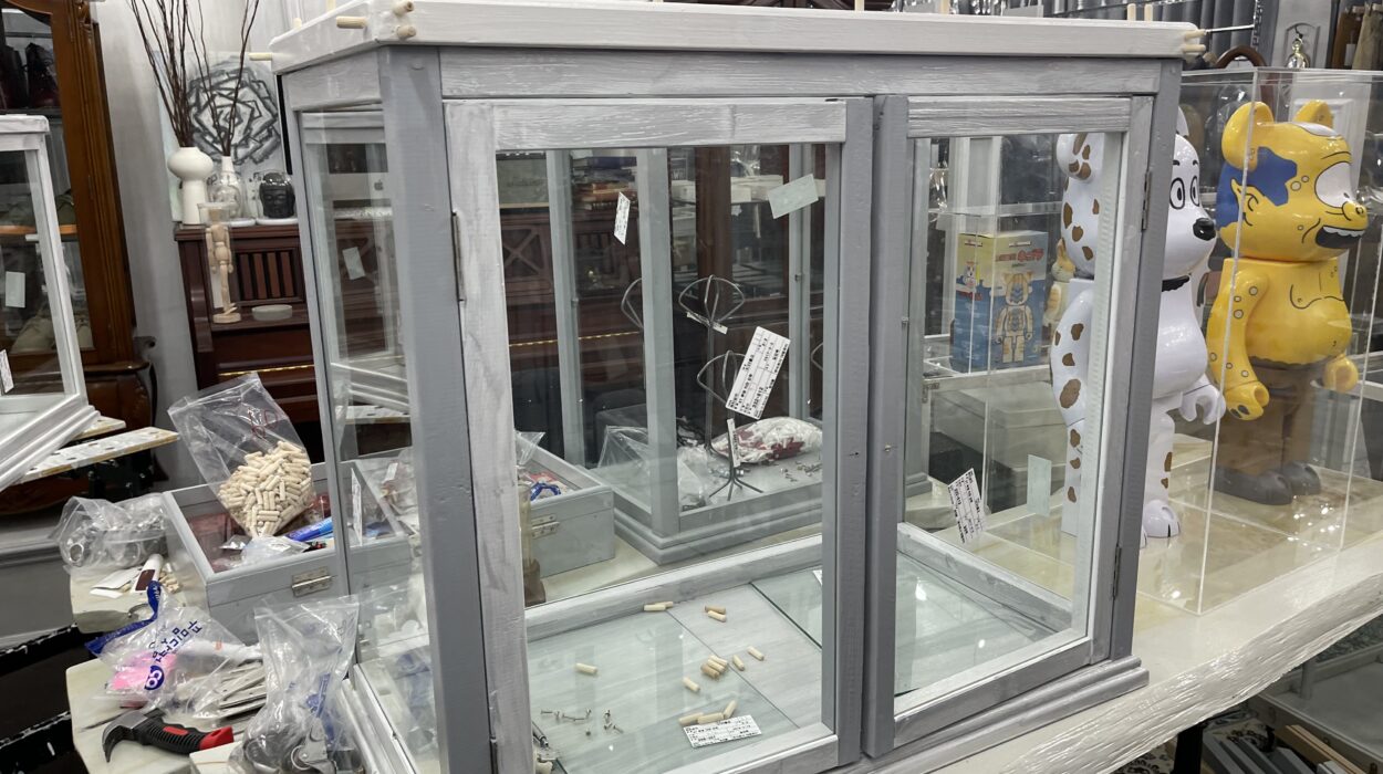 2022 06 03 zeperito wonderland