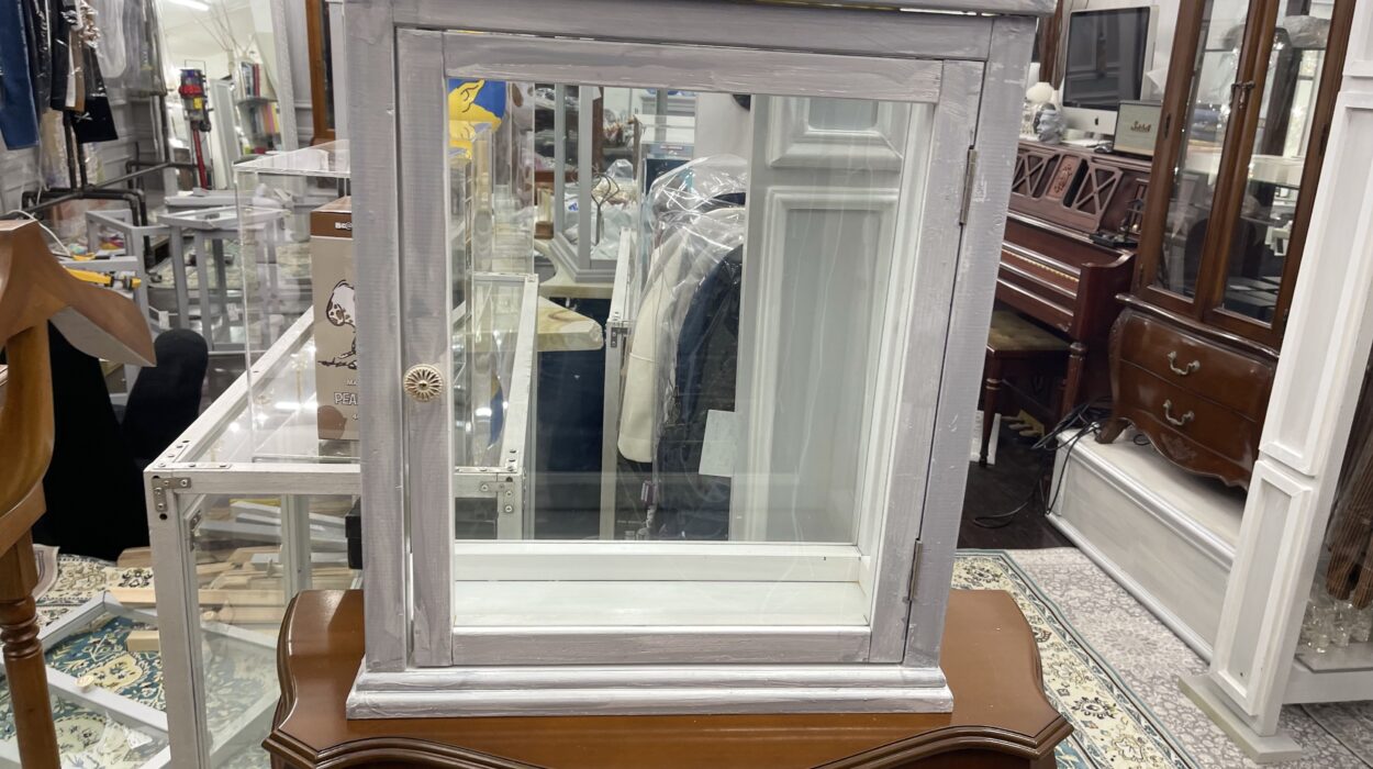 2022 06 04 zeperito wonderalnd