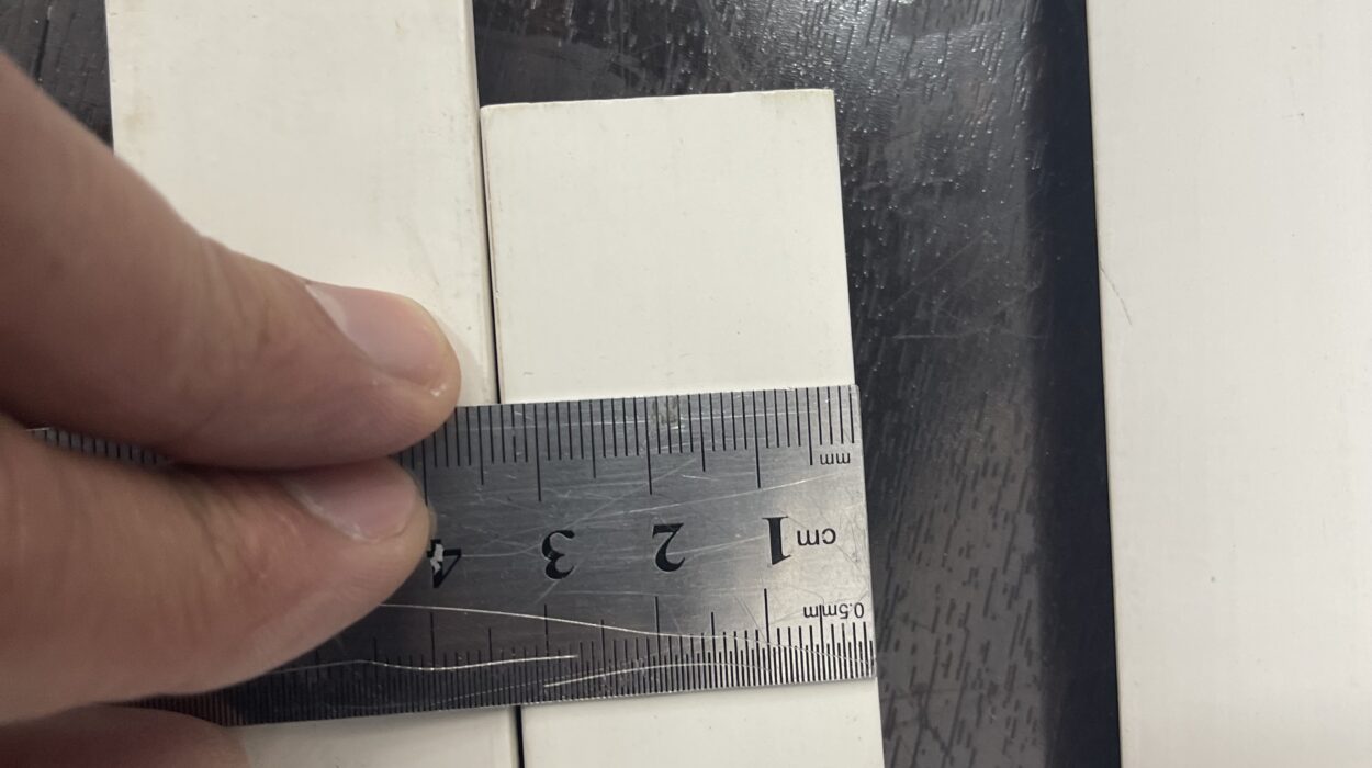 2022 06 05 zeperito wonderalnd 003