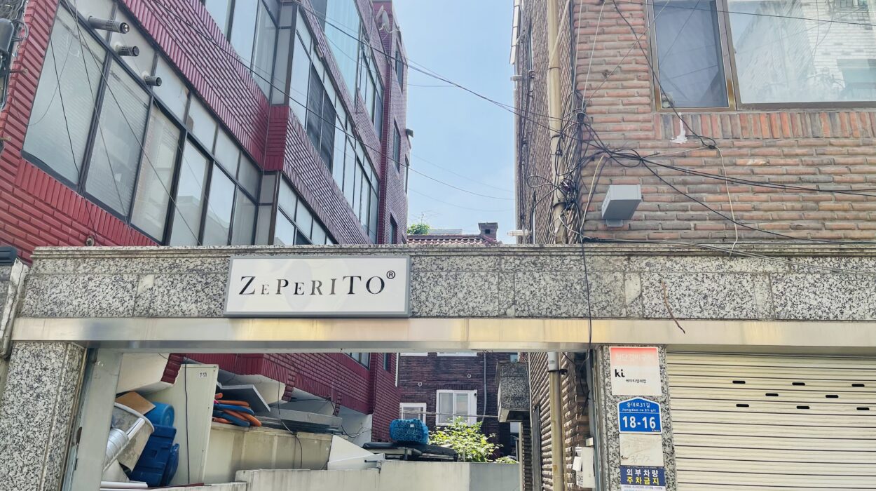 2021 06 02 zeperito wonderland 002