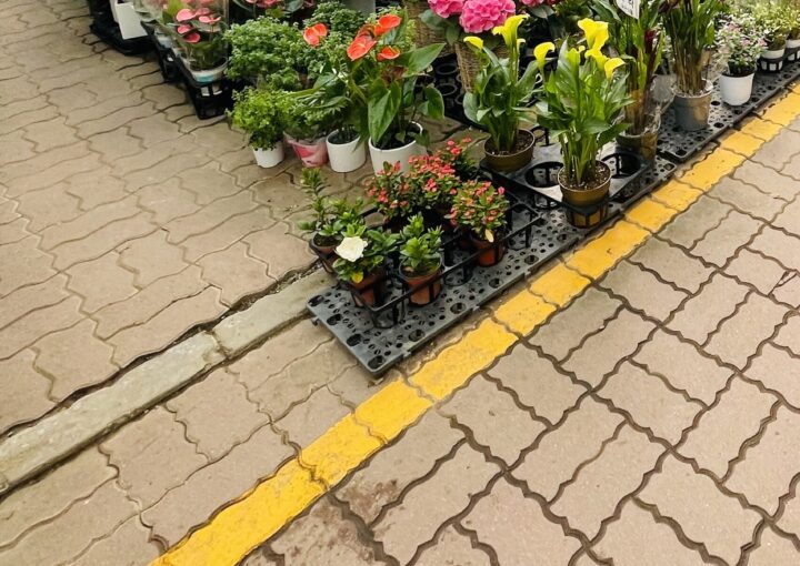 2021 06 04 zeperito wonderland