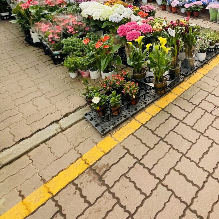 2021 06 04 zeperito wonderland