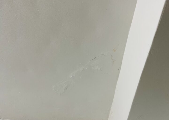 2021 06 11 zeperito wonderland