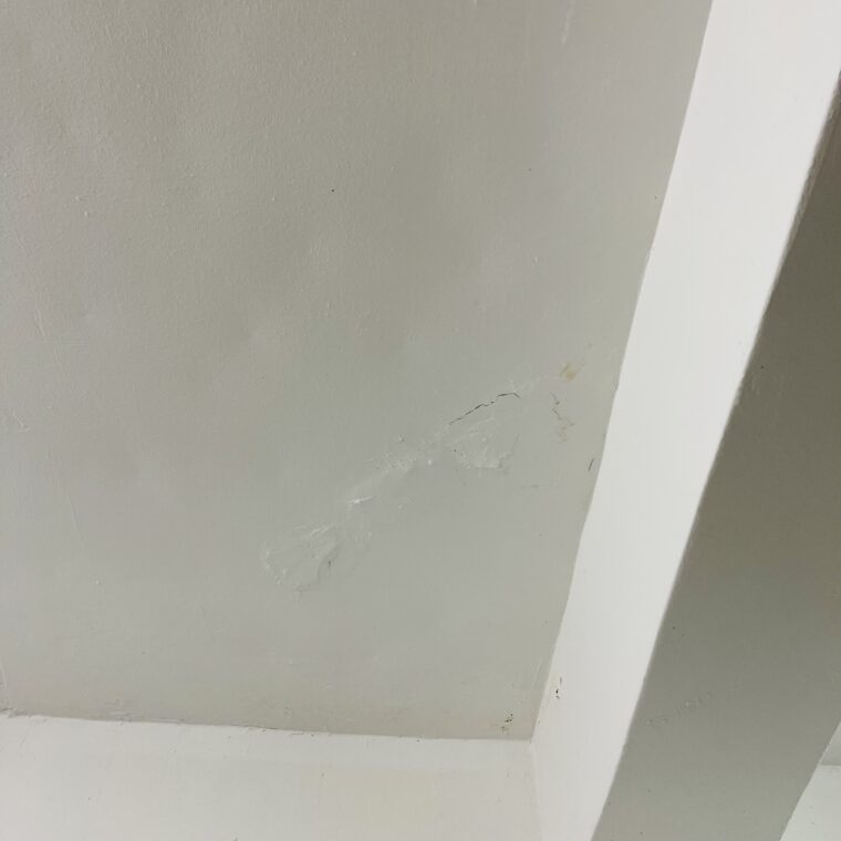 2021 06 11 zeperito wonderland