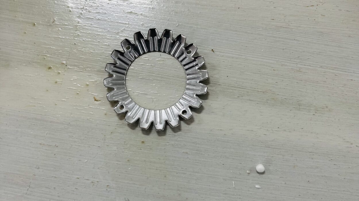 2021 06 24 zeperito wonderland