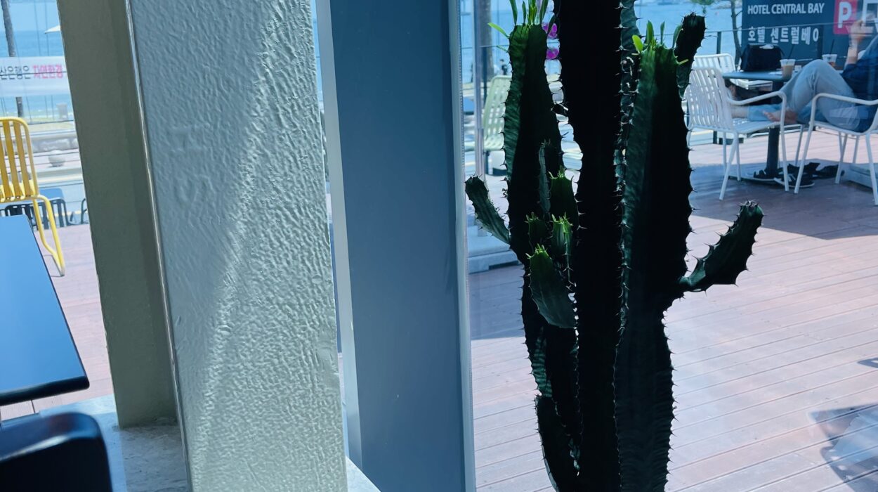 2021 06 25 zeperito wonderland 001